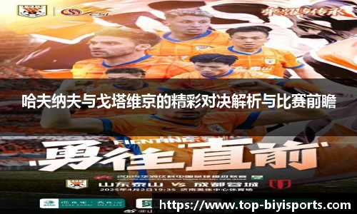 哈夫纳夫与戈塔维京的精彩对决解析与比赛前瞻